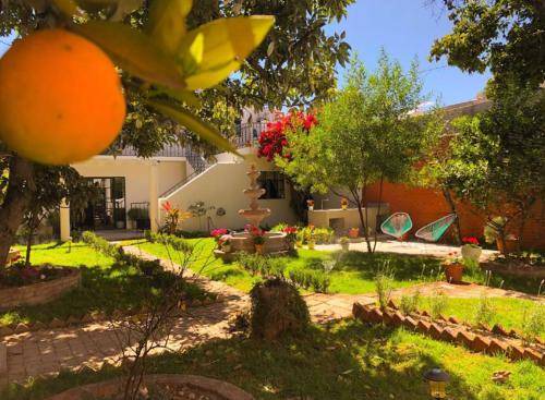 Colonia Guadalupe Bed & Breakfast | 15 m² Bed and breakfast ∙ 3 guests