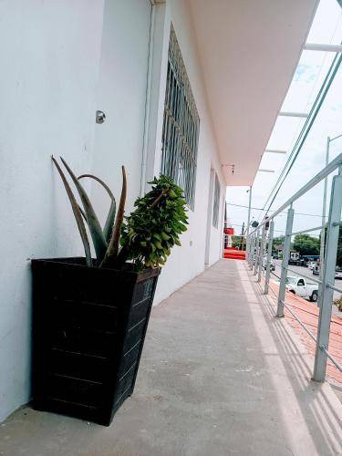 Los Mochis Bed & Breakfast | 25 m² Bed and breakfast ∙ 4 guests