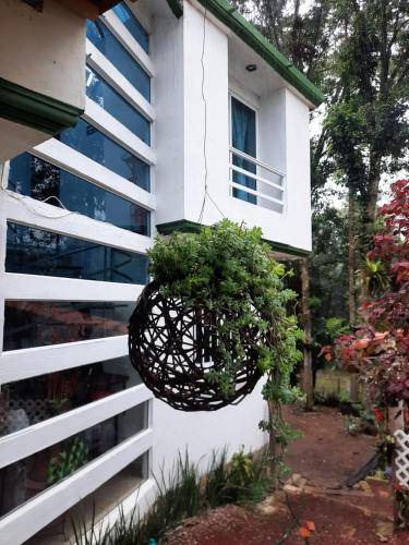 Xicotepec Bed & Breakfast | 30 m² Bed and breakfast ∙ 8 guests