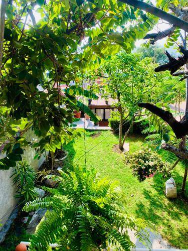 Atlixco House | 50 m² House ∙ 3 bedrooms ∙ 6 guests