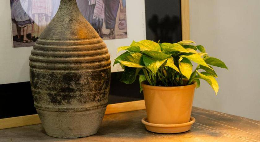 Puebla Historic Center Apartment | 93 m² Apartment ∙ 2 bedrooms ∙ 4 guests