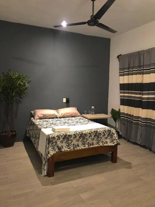 Centro Apartment | A media cuadra del parque central-Huatulco