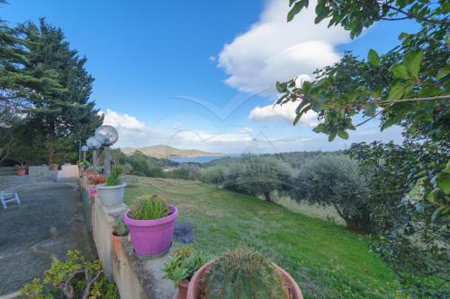 Naregno Apartment | Appartamenti Lentisco - Goelba