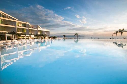 Flamingos Apartment | Aria Ocean Beachfront Condos