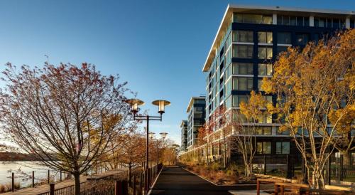 Buzzard Point Apartment | Bachelorette Suite