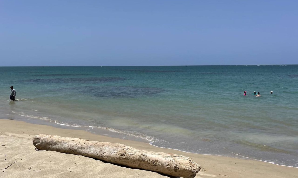 Mediania Alta Condo | Beachfront Gem - A Tropical Hidden Gem with Mesmerizing Ocean View