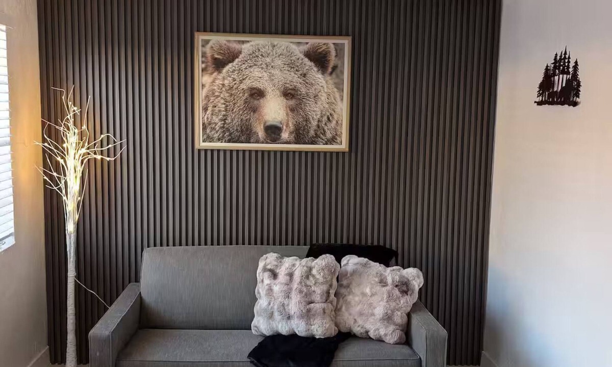 South Tucson House | Bear cave!