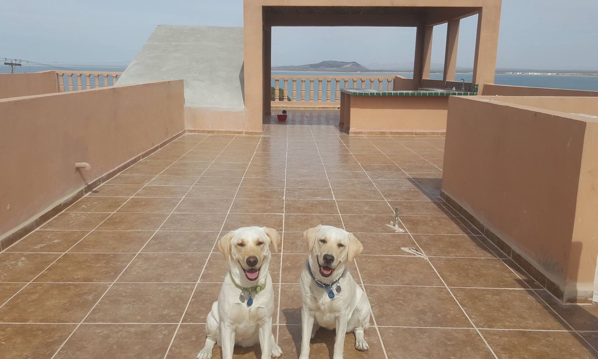 La Choya House | Beautiful Ocean Views and Spacious Patios. Enclosed Vehicle Parking .