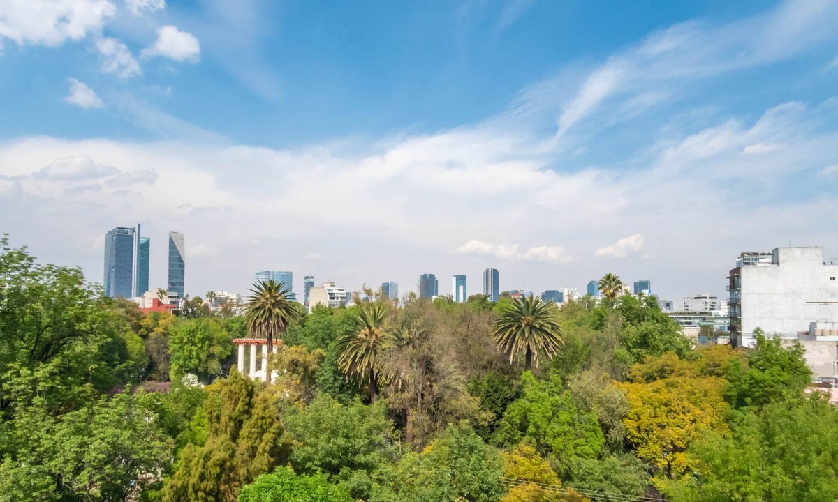 Hipodromo Condo | Big, Bright, Renovated Mexico City Apartment Facing Gorgeous Park in La Condesa