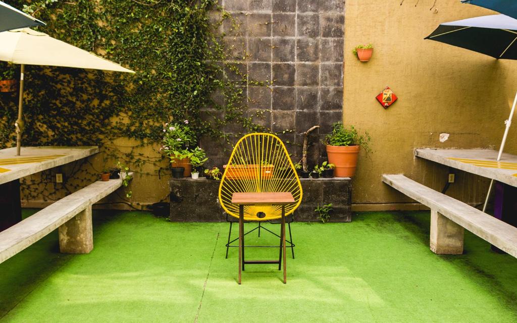 Lafayette Hostel | Blue Pepper Hostel Chapultepec