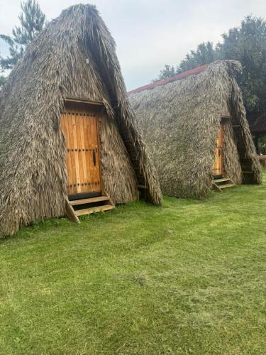 Hipodromo Hotel | Cabañas Green Life