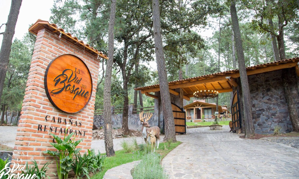 Tapalpa Cabin | Cabañas La Vid Del Bosque