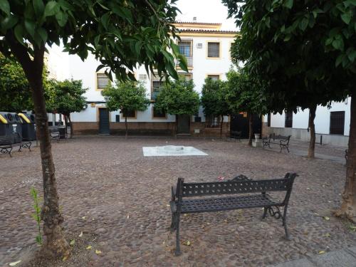 Distrito Centro Apartment | CALLE ABEJAR,PLAZA