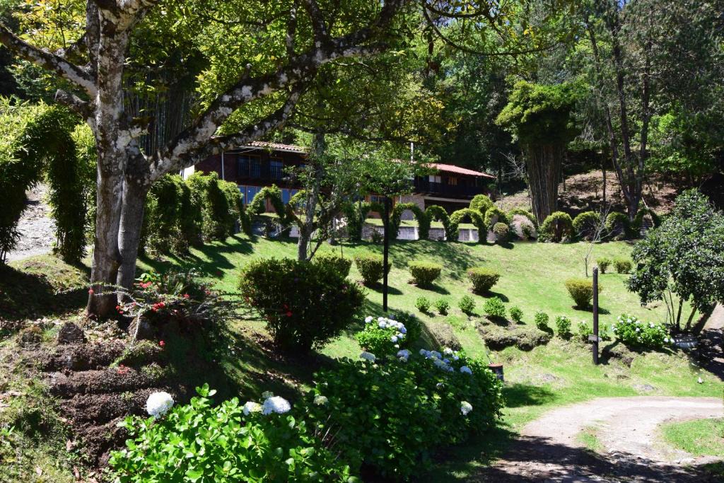 Huauchinango House | Campestre DAARLU