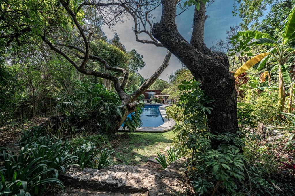 Malinalco Bed & Breakfast | Canto de Aves