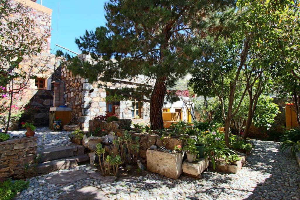 Real de Catorce Apartment | Casa Curtos