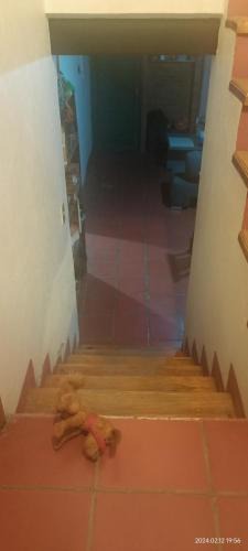 zona dos extendida House | Casa del Sur Querétaro