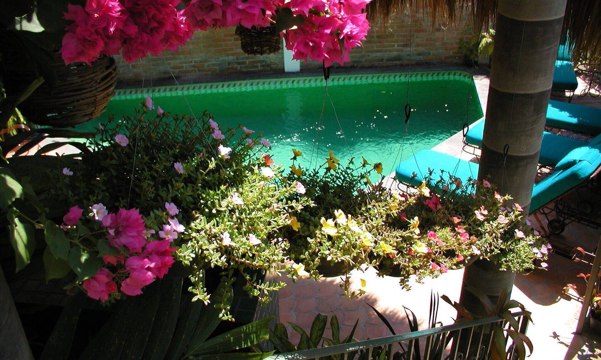 Conchas Chinas Villa | Casa de la Hoja: Lovely Private Villa: Secluded Pool : Perfect Walkable Location