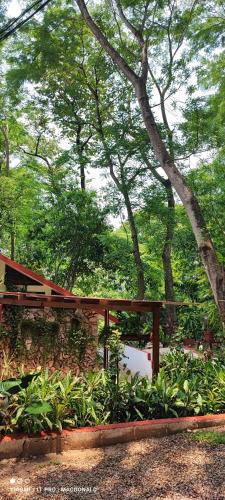 Palenque House | Casa Hadassa La Cañada