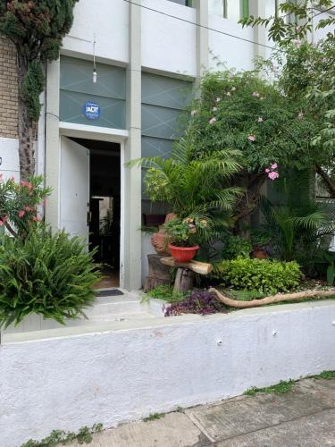 Zona Minerva House | Casa La Minerva