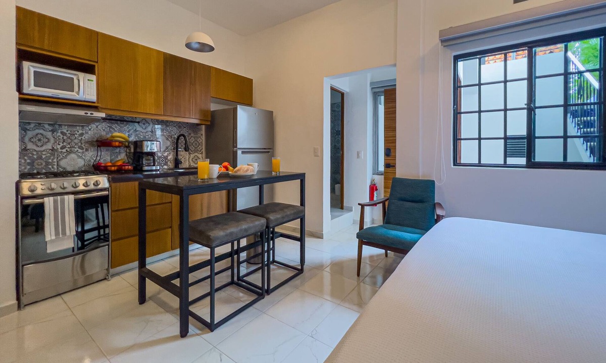 Colonia 5 de Diciembre Apartment | Casa Loro Azul PV Unit 9 NEW with Rooftop pool 1BD Studio for rent in 5 de Dicie