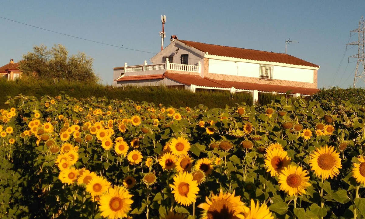 Cordoba House | CASA LOS GIRASOLES Magnificent house to enjoy a great vacation