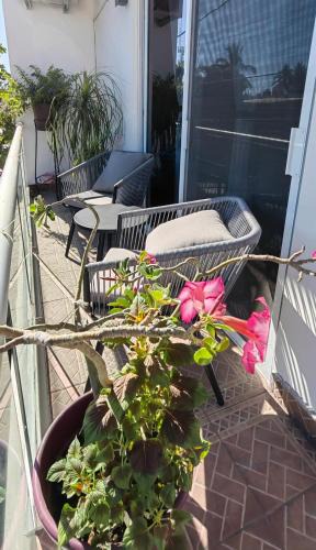 Bucerias Apartment | Casa los niños
