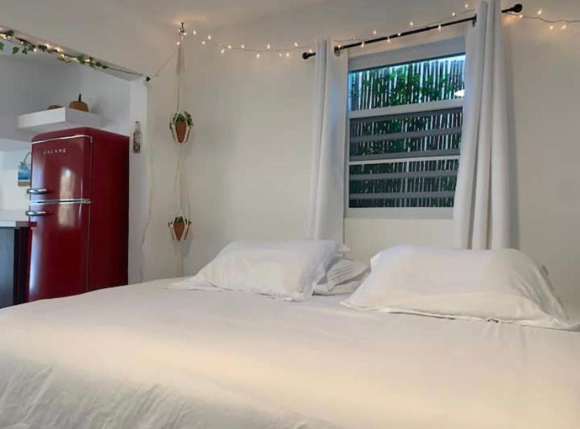 Islote House | Casa mango