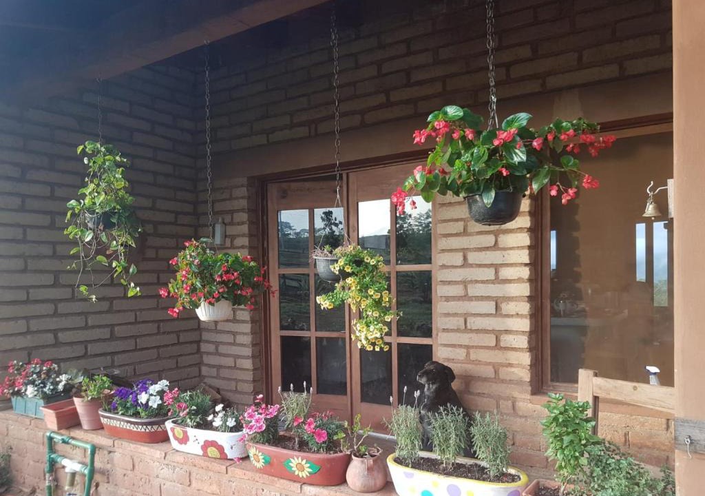 Mascota House | Casa Moonbeam