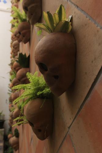 Americana Hotel | Casa Morelos by Barrio Mexico