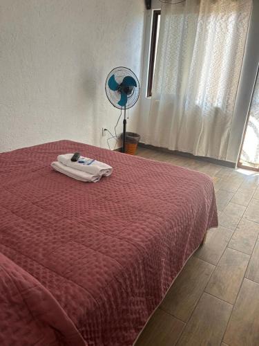 Santo Domingo House | casa regina