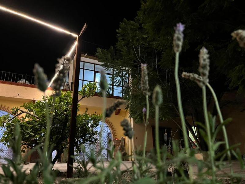 Colonia San Antonio House | CASA SANTIAGO sí hay internet