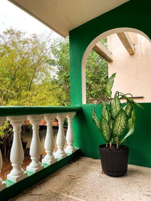 Merida House | Casa tasty