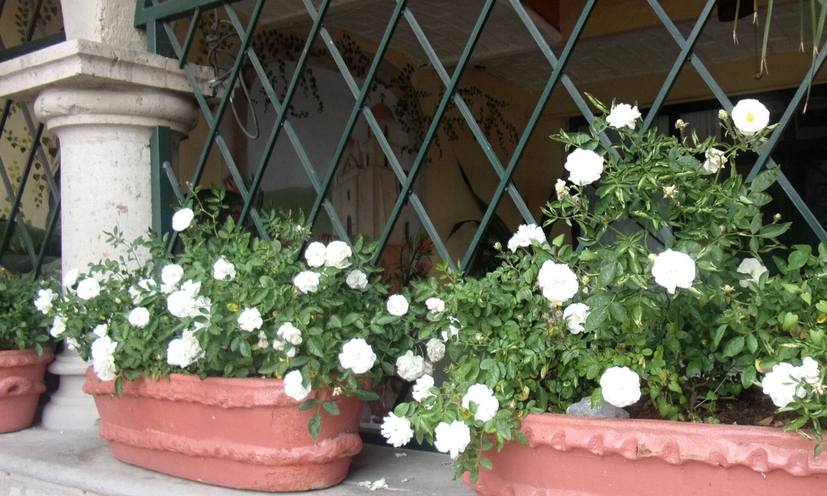 Ajijic Bed & Breakfast | Casita Montana Hotel and Suites