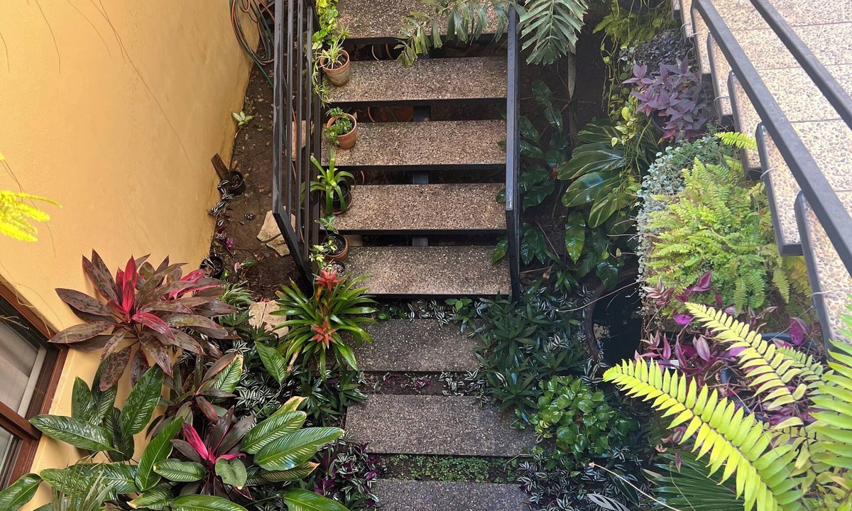Lo de Marcos Hotel | Charming Bambu Room in Casa Botanica