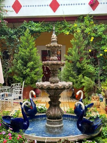 Mascota Hotel | Copa de Oro Hotel Boutique