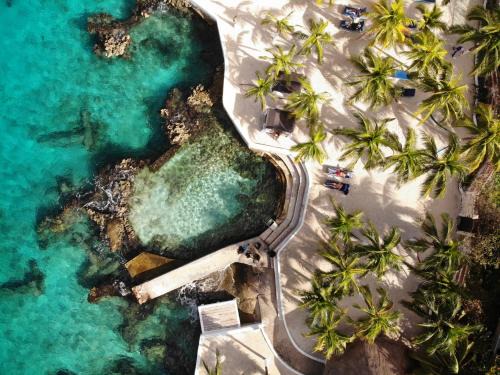 Cozumel | Colonos Cuzamil