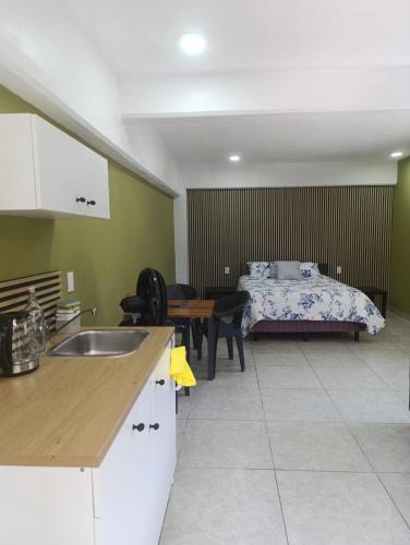 Tepoztlan Apartment | El Árbol Plaza Suites - Terra