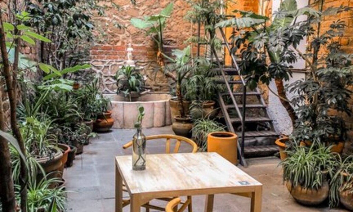 Cuauhtemoc Bed & Breakfast | El Patio 77