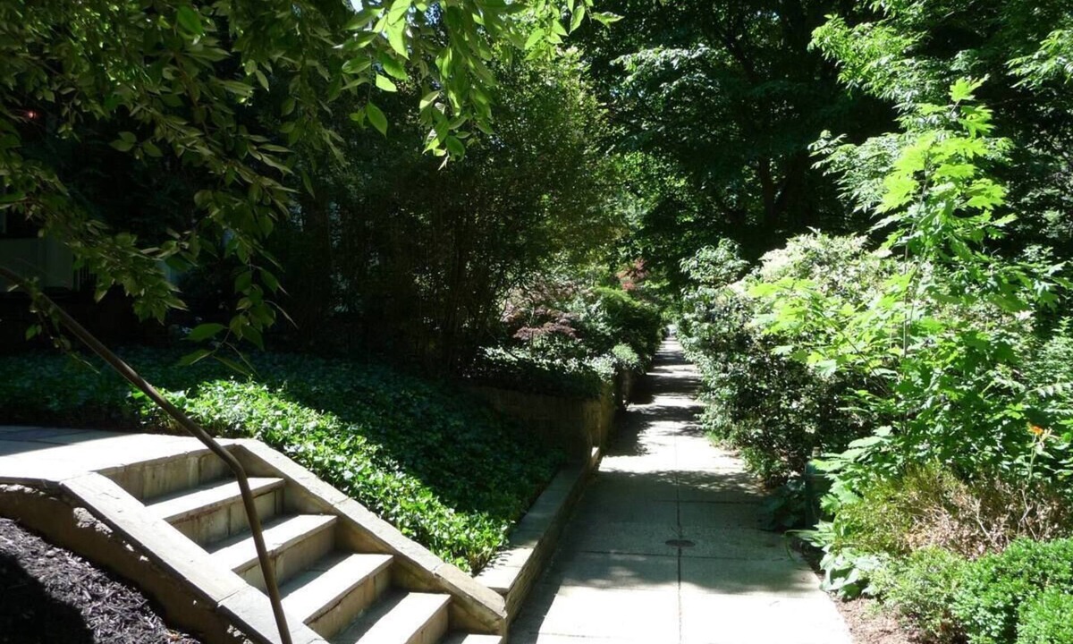 Mount Pleasant House | Entire basement apartment - 2067 Park Road, Nw Dc.