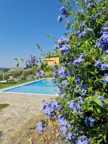 Maiano House | Fattoria di Maiano