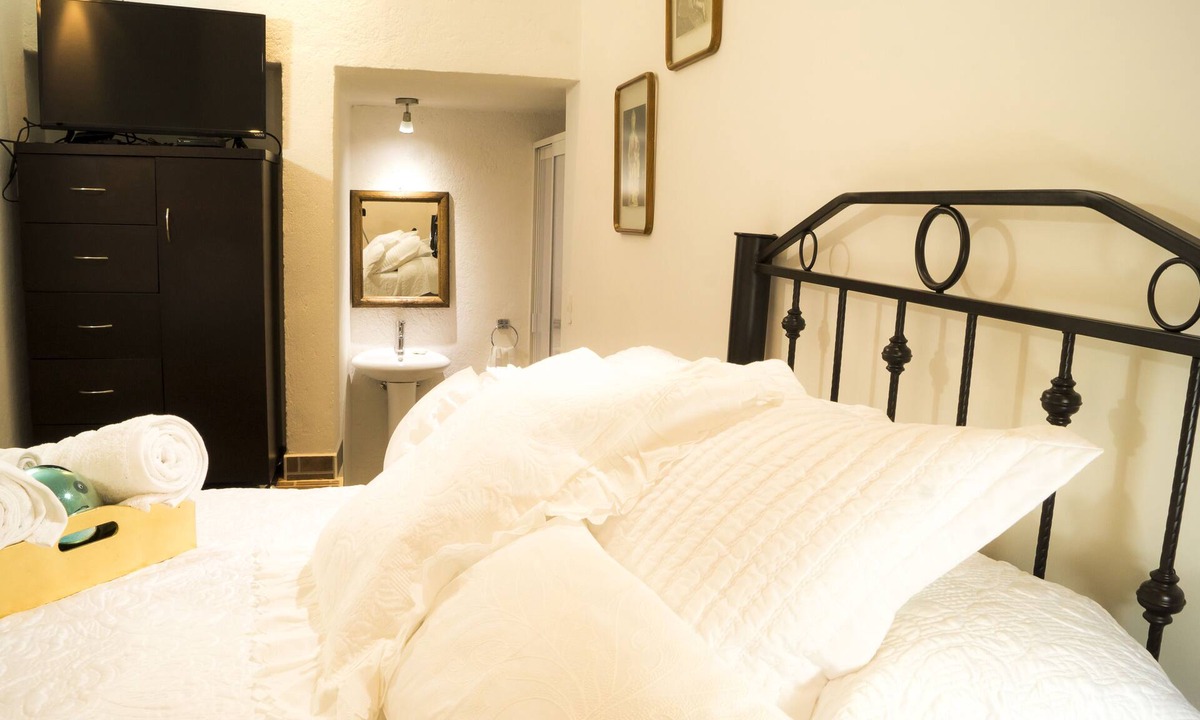Coyoacan Apartment | GARDEN HOUSE, WELCOME TO SAN ANGEL NEIGHBOURHOOD