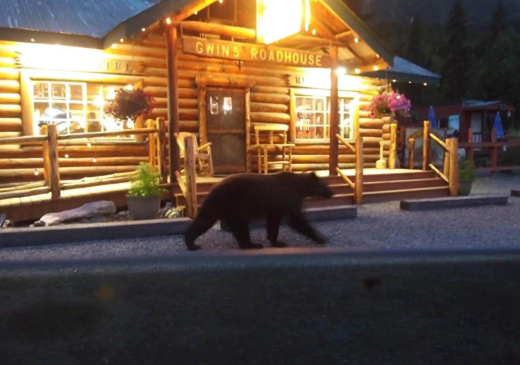 Cooper Landing Cabin | Gwin's Lodge & Roadhouse