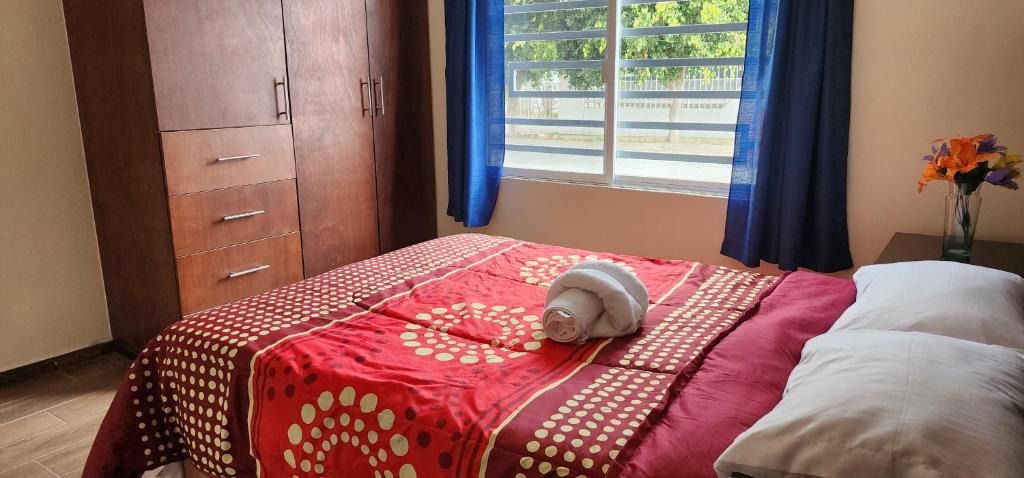Morelia House | Habitaciones Mimado morelia