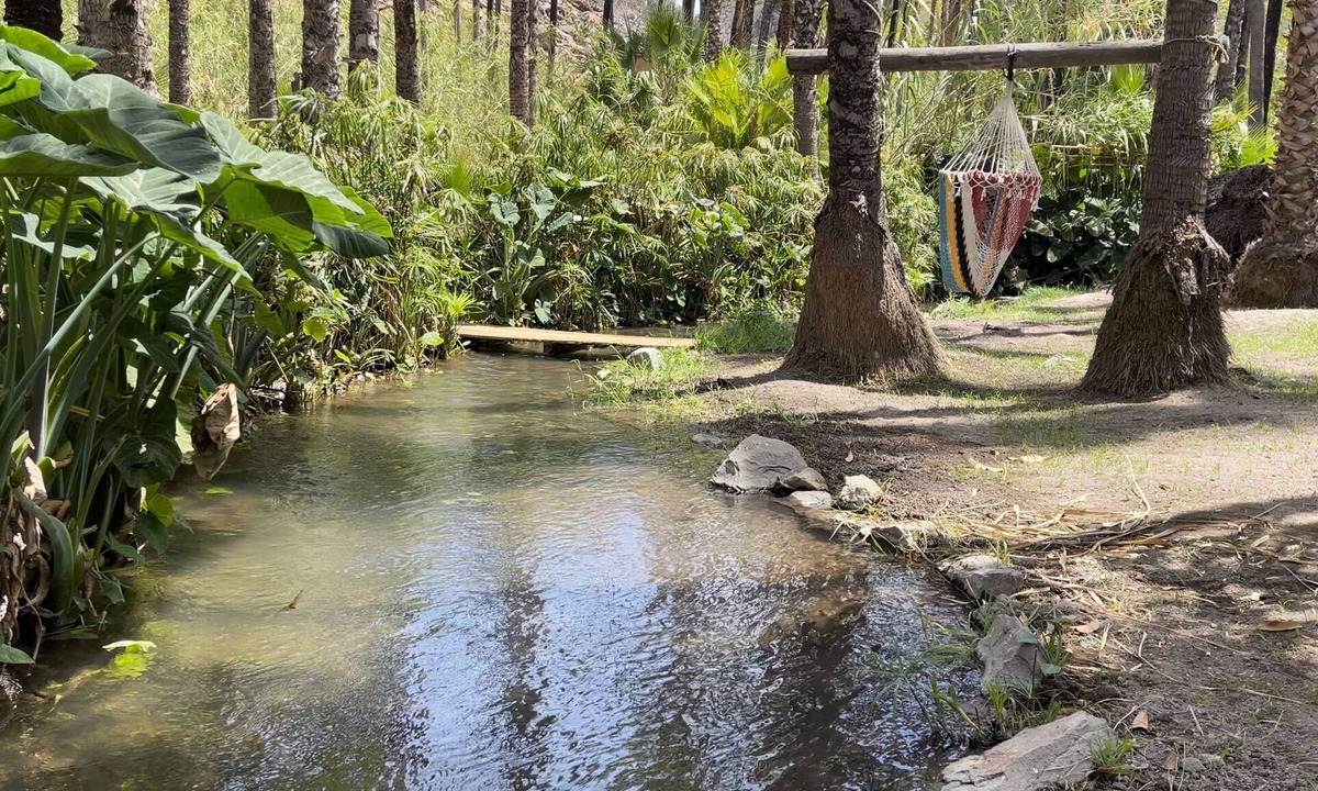 Comondu Cottage | Hacienda Ramona