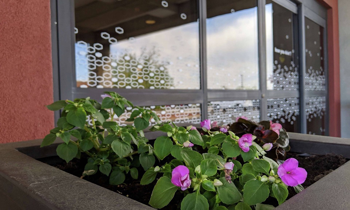 West Chester Hotel | Hampton Inn & Suites Cincinnati-Union Center