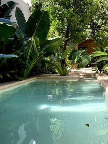Barrio de Santiago House | Hermosa Casa Antigua con Piscina Tropical