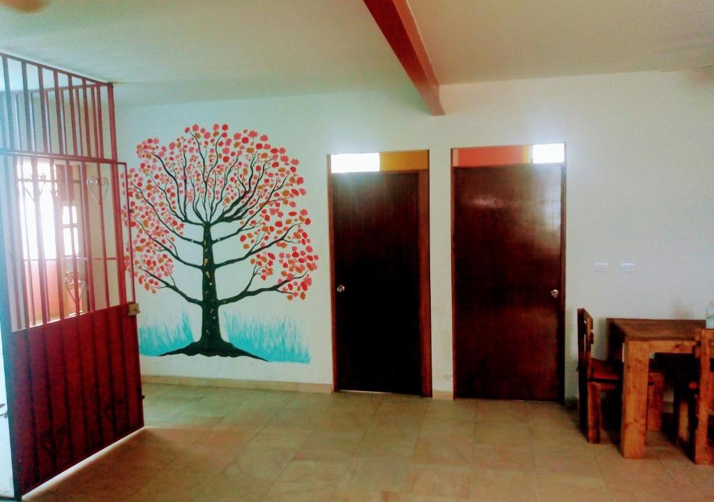 Morelia House | Hostal El Búho