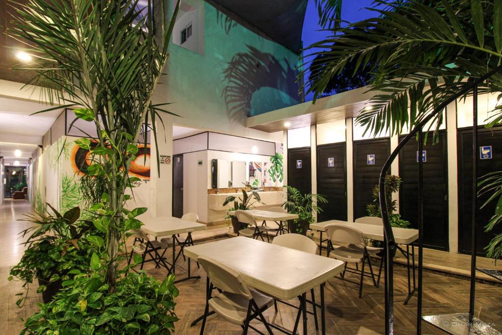 Chichen Itza - Valladolid House | Hostal Gayser