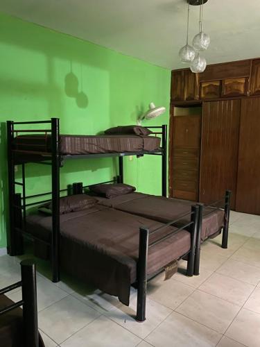 Tequila House | Hostal tequila